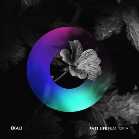 Past Life (feat. Opia) | Boomplay Music