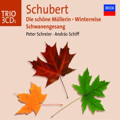 Schubert: Winterreise, D.911: 2. Die Wetterfahne ft. András Schiff | Boomplay Music