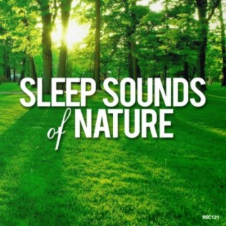 Sleep Sounds Of Nature