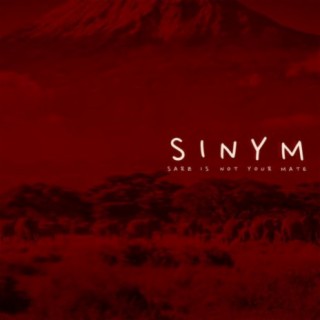 SINYM (Sarz Is Not Your Mate) | Boomplay Music