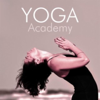 Holistic Yoga Academy