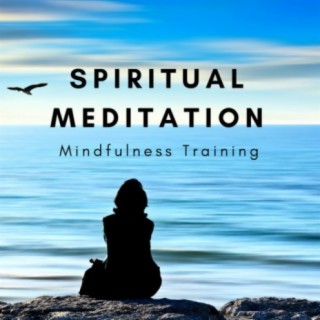 Spiritual Meditator