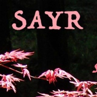 Sayr