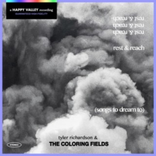 The Coloring Fields