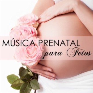 Musica Prenatal Maestro