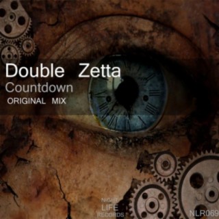 Double Zetta