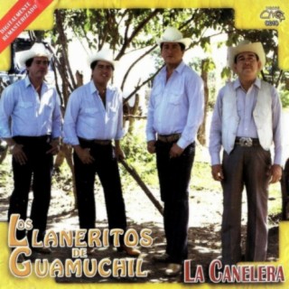 Los Llaneritos De Guamuchil