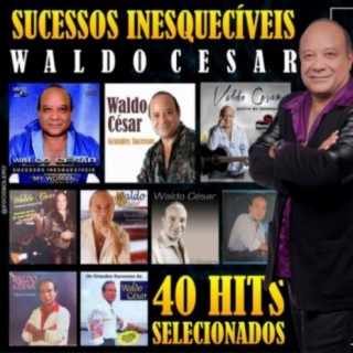 Sucessos Inesquecíveis 40 Hits Selecionados