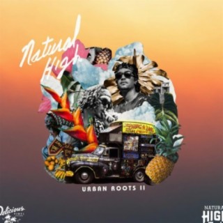 Natural High Music