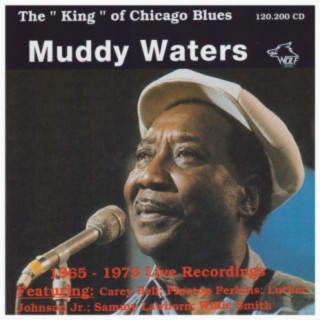 The King of Chicago Blues