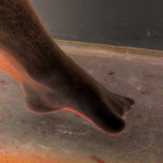 Foot