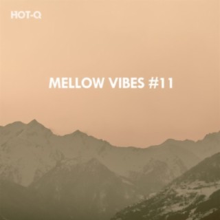 Mellow Vibes, Vol. 11