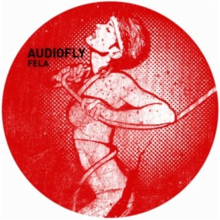 Audiofly