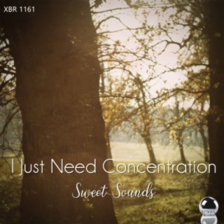 I Just Need Concentration: Sweet Sounds