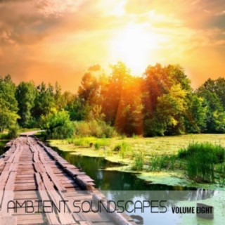 Ambient SoundScapes, Vol 8