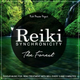 Reiki Master Project