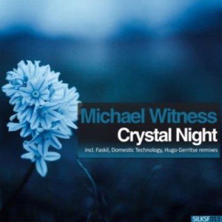 Michael Witness