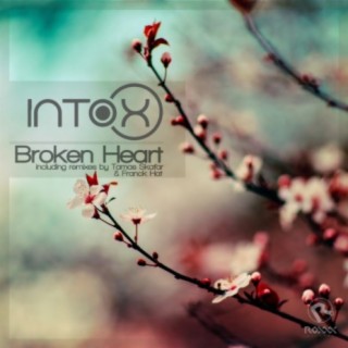 Broken Heart