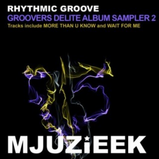 Groovers Delite Album Sampler Vol. 2