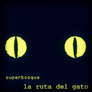 La Ruta Del Gato