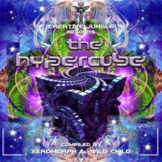 V.A. The Hypercube