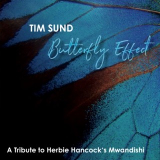 Butterfly Effect (A Tribute to Herbie Hancock's Mwandishi)