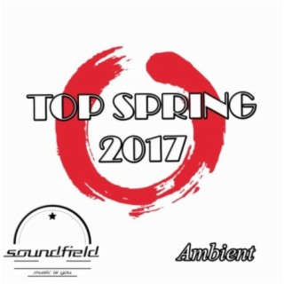 Ambient Top Spring 2017