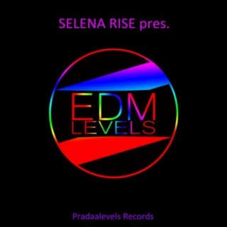 Selena Rise pres. EDM Levels Vol. 1