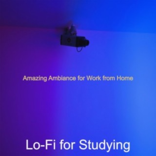 Amazing Ambiance for Work from Home