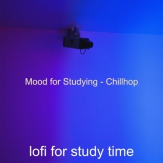 lofi for study time