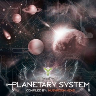 Planetary System