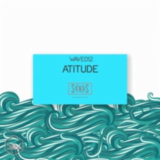 Attitude