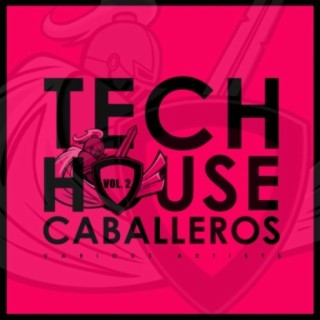 Tech House Caballeros, Vol. 2