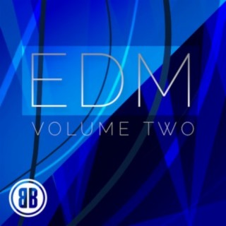 EDM, Vol. 2