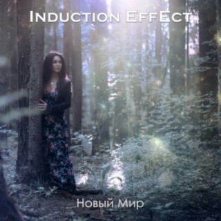 Induction Effect