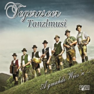 Tegernseer Tanzlmusi