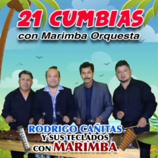 21 Cumbias Con Marimba Orquesta (En Vivo)