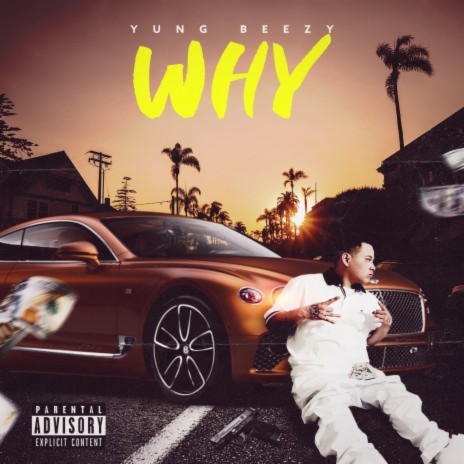 Why | Boomplay Music