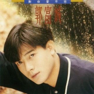 aaron Kwok