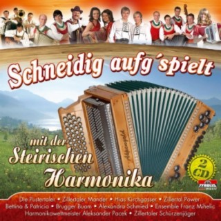 Schneidig aufg'spielt mit der Steirischen Harmonika