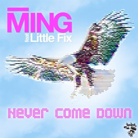 Never Come Down (feat. Little Fix) [Full Chorus Radio Edit] | Boomplay Music