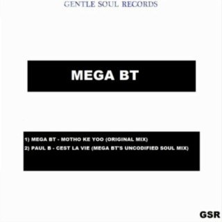 Mega Bt