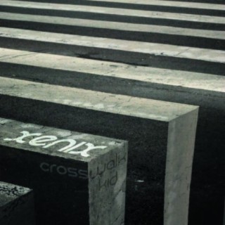 Crosswalk Kid