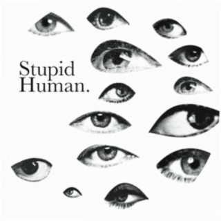 Stupid Human