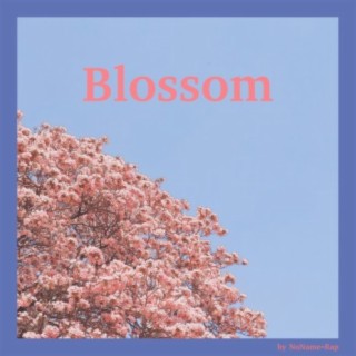 Blossom