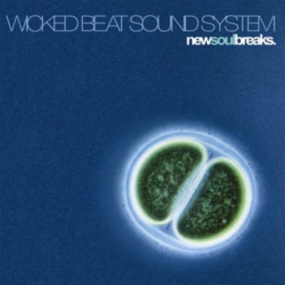 Wicked Beat Sound System