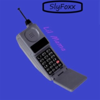 SlyFoxx