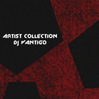 Artist Collection: Dj Vantigo
