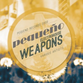 Electro House Weapons (Volume 1)