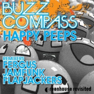 Buzz Compass